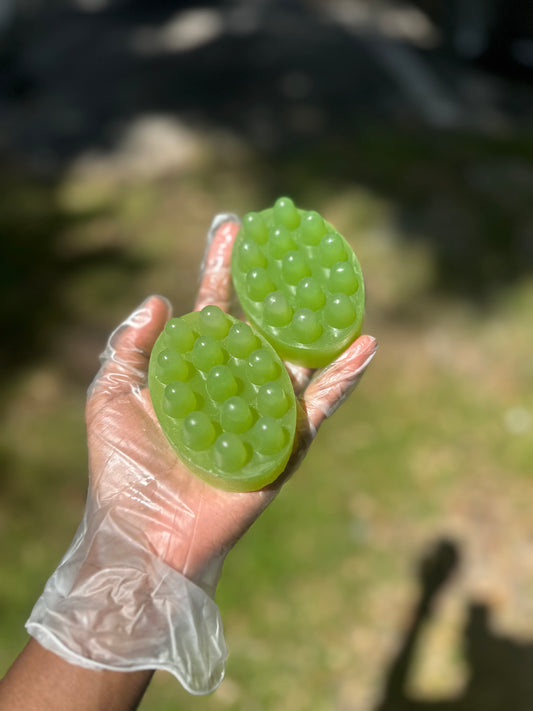 Aloe Vera Shampoo Bar